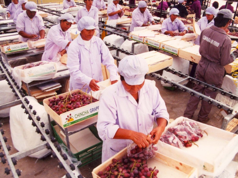 ADEX HIZO LLEGAR PROPUESTAS PARA LA NUEVA LEY DE PROMOCIÓN AGRARIA